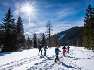 Schneeschuh Wandern Gruppe Sonne web